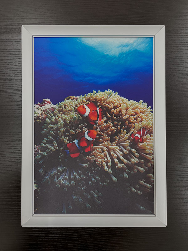 電飾フィルムポスター印刷(LIMEX) 電源OFF