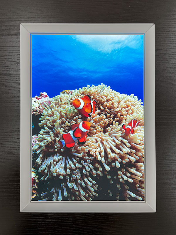 電飾フィルムポスター印刷(LIMEX) 電源ON