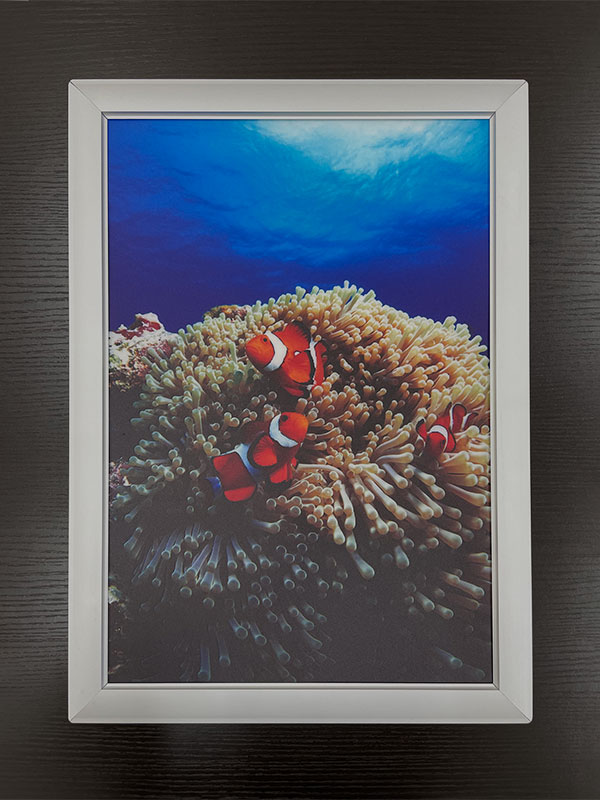 電飾フィルムポスター印刷(乳半) 電源OFF