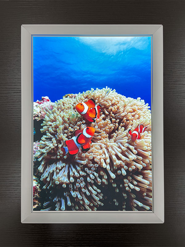 電飾フィルムポスター印刷(乳半) 電源ON