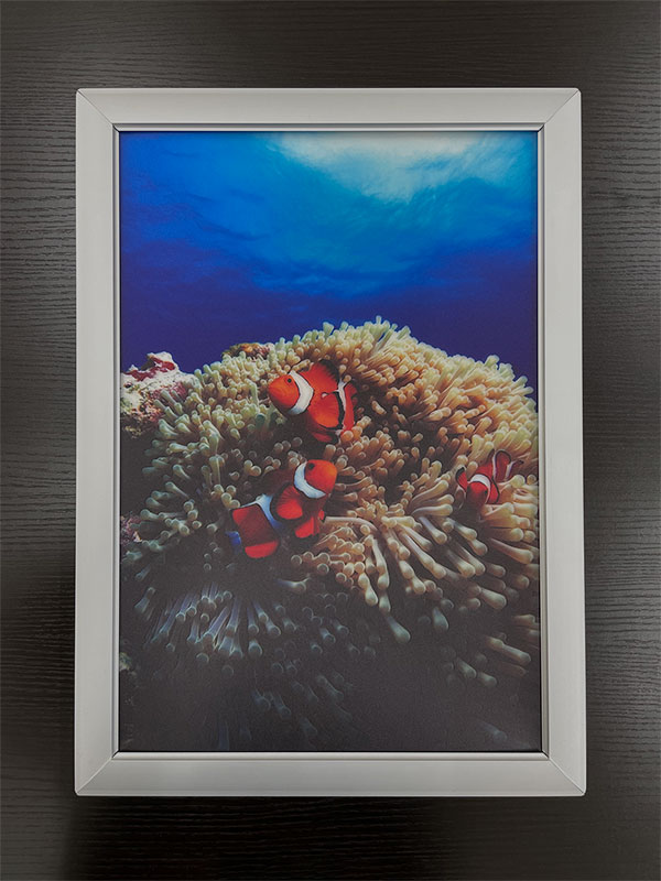 電飾フィルムポスター印刷(透明) 電源OFF