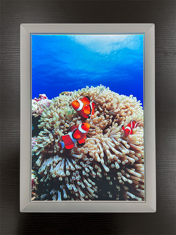 電飾フィルムポスター印刷(透明) 電源ON