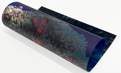 電飾フィルムポスター印刷(透明) 素材